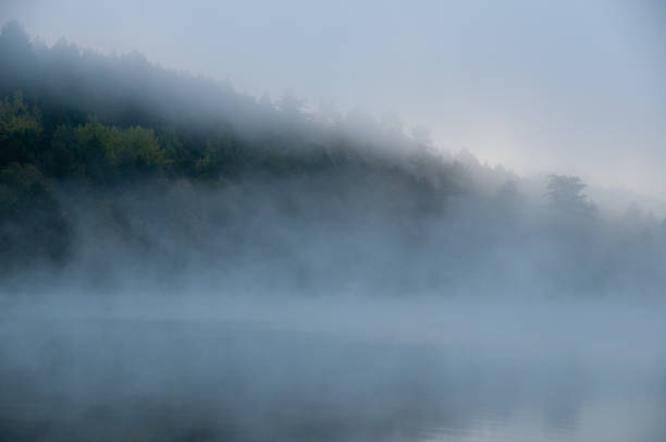 istock Fog off a lake beside a forest in the morning 1473537368
