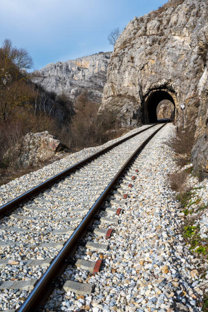 istock Old railroad tunnel  on the railway. 1473537436