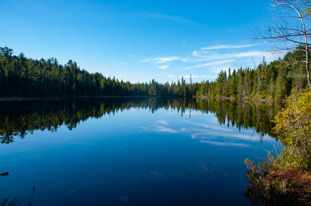 A calm lake reflecting the forest and sky in Algonquin Provincial Park