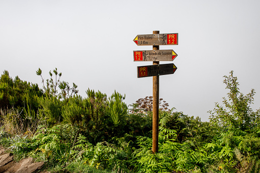 Tourist mountain path through green plants and cloudy fog with a wooden destination sign