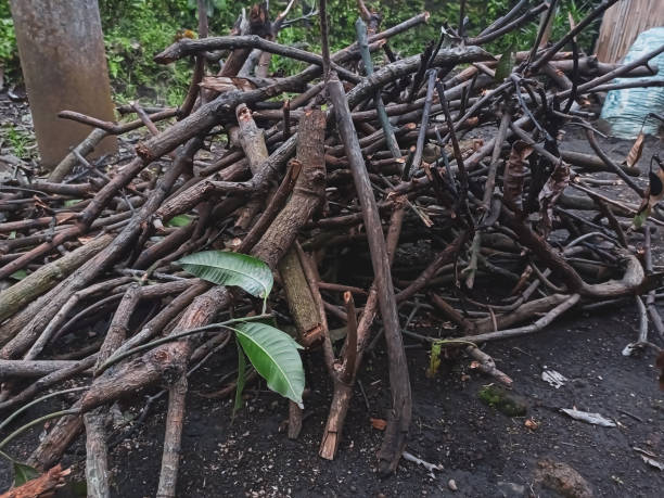 istock dry logs in front of the house 1473540890