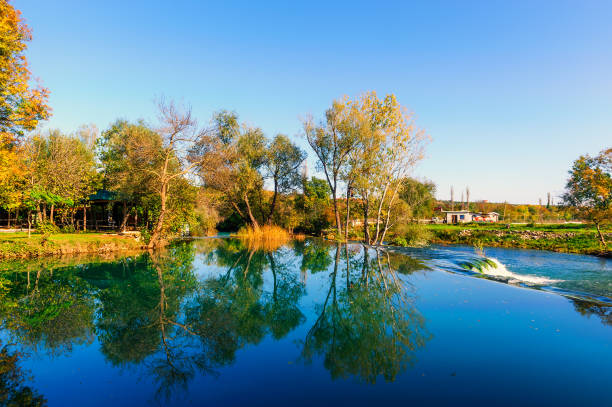istock Quiet lake in the preserved nature 1473540974
