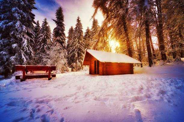 istock particularly nice atmosphere in the Thuringian Forest 1473541030