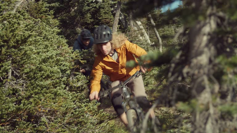 Two mountainbiker in forest