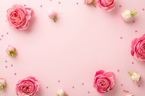 Women's Day celebration concept. Top view photo of spring flowers pink peony roses and sprinkles on isolated pastel pink background with copyspace in the middle