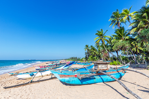 Traditional Sri Lankan fishing boats stranded on the beach in Rekawa