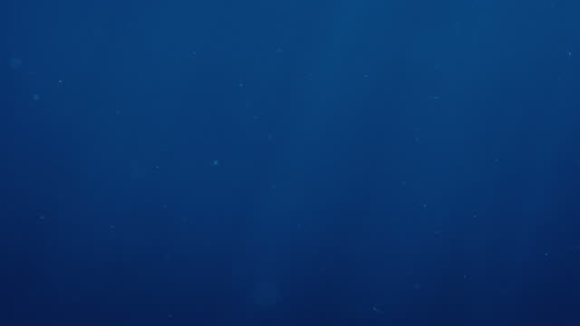 Dark Water With Particles Swirling Underwater Shot