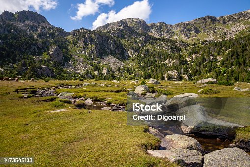 istock Small creek in La Cerdanya, Pyrenees mountain, Catalonia, Spain. 1473545133