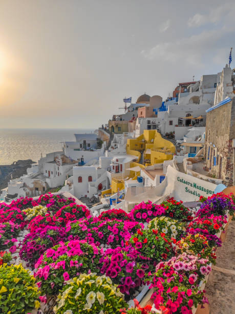 istock Oia, village in Santorini, Greece during a sunset 1473545903