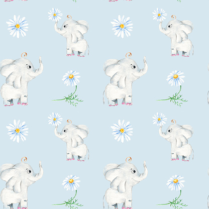 Seamless pattern with cute elephant, camomile flowers. Watercolor hand drawn illustration on blue background. Ideal for kids wallpaper, wrapping paper, fabric and textile design.