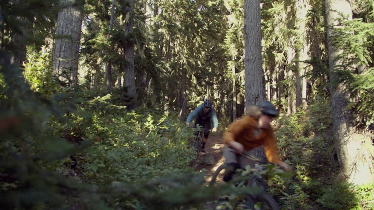 Two mountainbiker in forest