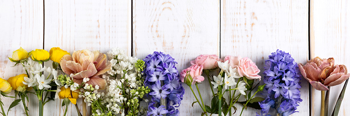 Bright spring composition of daffodils, hyacinths, roses, tulips, lilac on a white wooden background. Hello spring. Banner