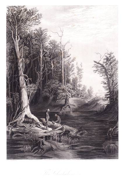 Native American Reservation by the Chickahominy River, Virginia, USA. Steel and wood engravings, published 1872. This edition edited by William Cullen Bryant is in my private collection. Copyright is in public domain.
