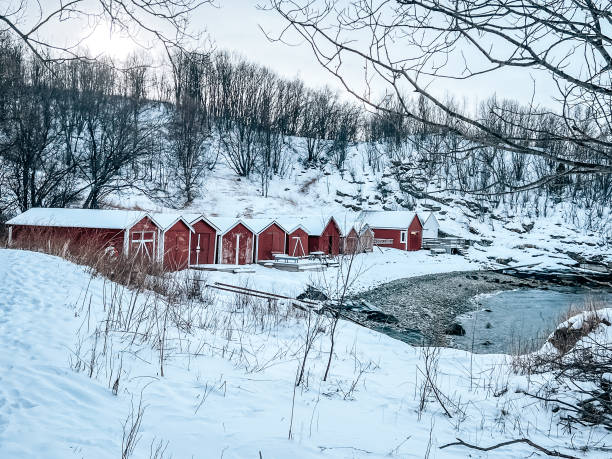 istock Little ship houses in norway 1473556410