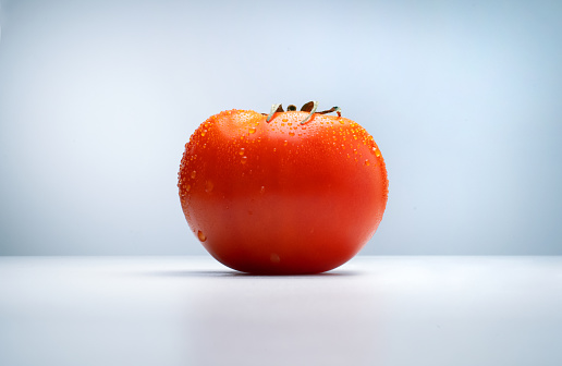 Wet tomato minimal studio shoot