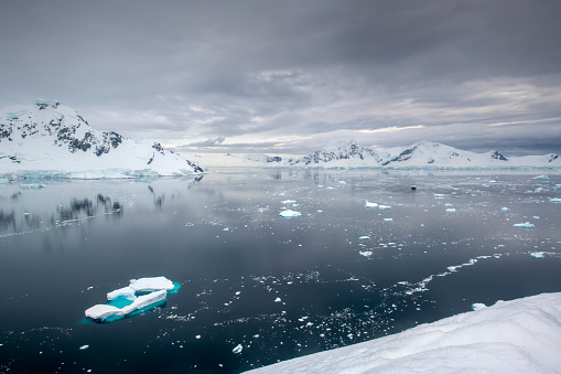 Wonderful and atmospheric landscape at Paradise Bay with icebergs floating in Antarctica