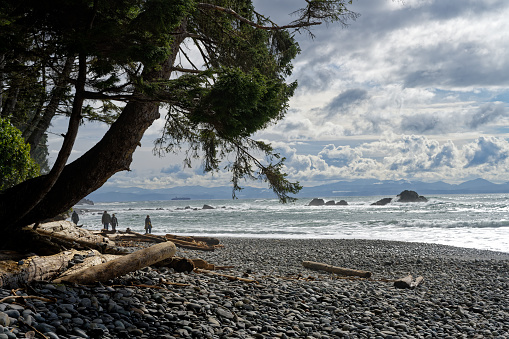 Sombrio Beach, near Port Renfrew, Vancouver Island, BC Canada