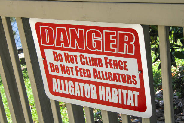 istock Danger Alligator Habitat Sign 1473565363