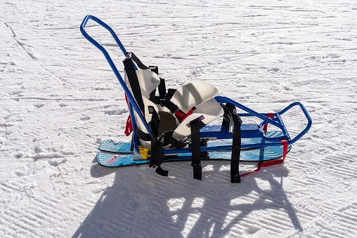 Sit ski. Winter Sport for disability people, Active Therapy for wheelchair man.