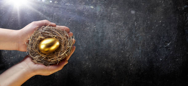 istock Golden Egg In Hands - Retirement Value - Investments Concept 1473565713