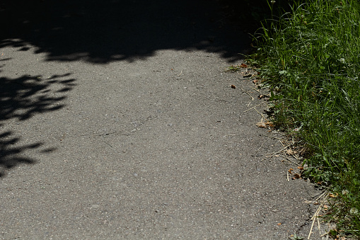 Part of the asphalt road and grass