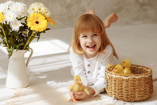 A girl in a white dress is lying on the floor, she took this duckling from a wicker basket with ducklings. The concept of an excursion to an eco-farm, life in the village, vacation with a grandmother.