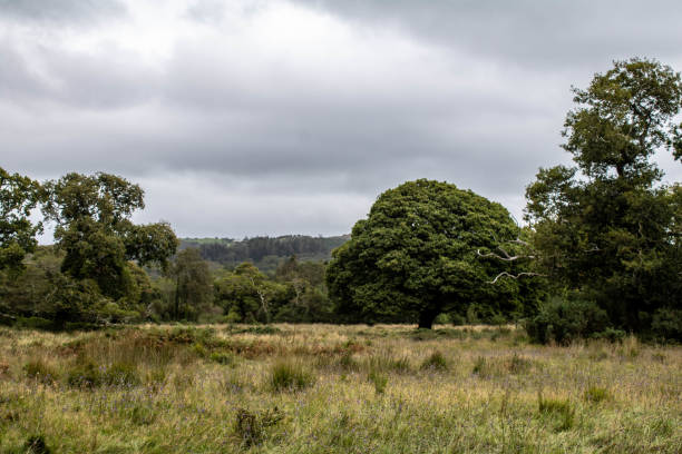 istock Country road through the West Cork landscape 1473570274