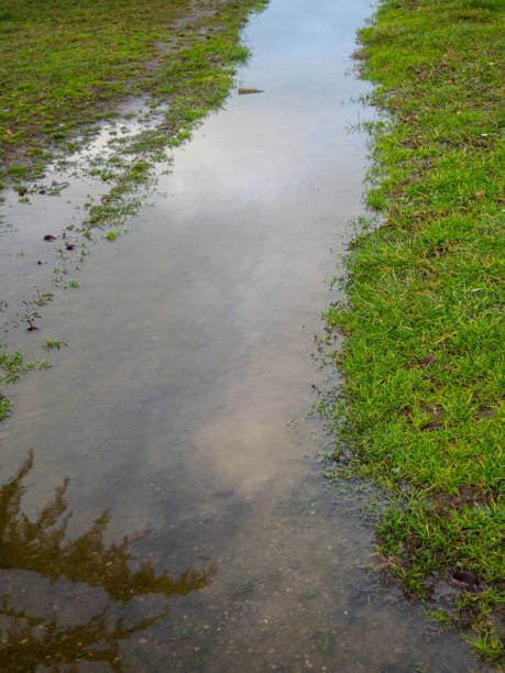 istock A puddle on the grass. Reflection of the sky in a small puddle. 1473577325