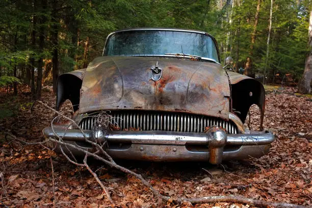 1954 Buick special wreck in car graveyard