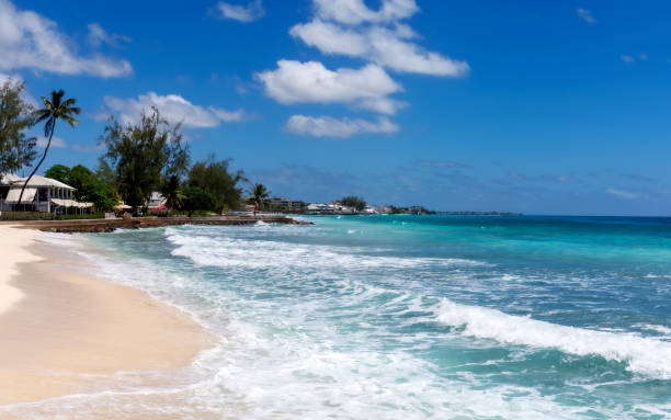 istock gorgeous beach on Barbados 1473581986
