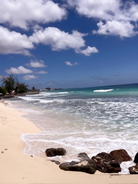 istock gorgeous beach on Barbados 1473582536