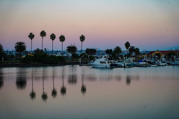 istock Sunset reflections of palm trees 1473585046
