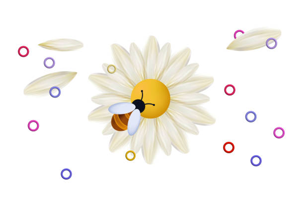 デイジー、白い花の3d、分離型アイコンに蜂。1匹の昆虫が蜜、花粉を集めます。開花ガーベラのミツバチ、野生のハチまたはマルハナバチ。活発な労働の概念、受粉の接写。ベクトル。 - bee honey bee single flower honey点のイラスト素材／クリップアート素材／マンガ素材／アイコン素材