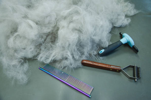 Comb and flea comb for cat and dog