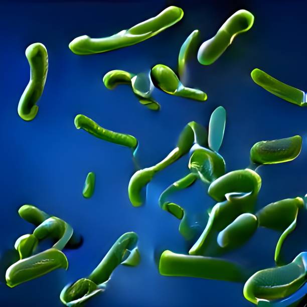 레지오넬라 뉴모필라 - 의료 3d 일러스트레이션 - fecal coliform bacteria 뉴스 사진 이미지