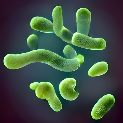 Bacteria outbreak and bacterial infection as a microscopic background in California City, California, United States