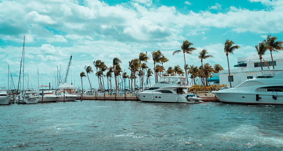 boats in the port palms tropical coconut grove in Miami, Florida, United States