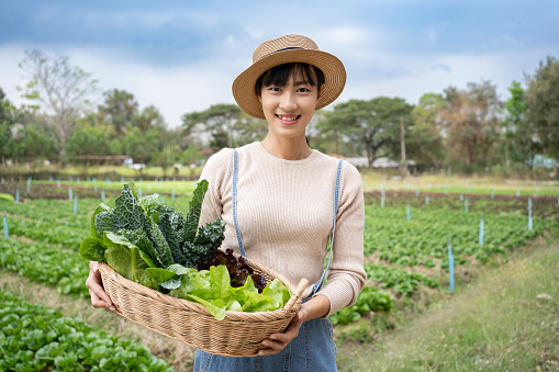 Young Asian beautiful woman with long black hair working in her daily life in Agriculture Organic vegetable farm owner.