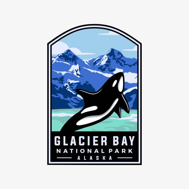 illustrations, cliparts, dessins animés et icônes de modèle vectoriel du parc national de glacier bay dans le style de patch de badge. illustration graphique emblématique de l’alaska america. - us glacier national park