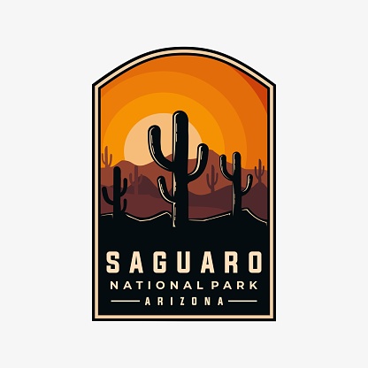 Saguaro national park vector template. Arizona landmark graphic illustration.