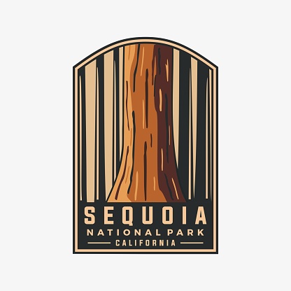 Sequoia tree national park vector template. California landmark graphic illustration in badge emblem patch style.