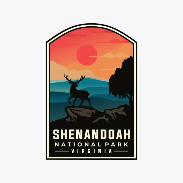 ilustrações de stock, clip art, desenhos animados e ícones de shenandoah national park vector template. virginia landmark graphic illustration in badge patch style. - shenandoah national park