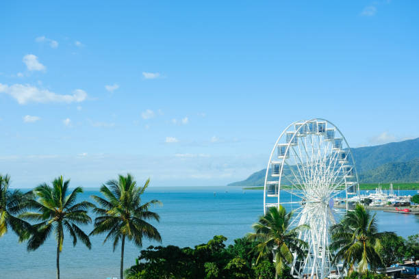 aerial view of cairns esplanade, australia - eucalyptus tree tree australia tropical rainforest imagens e fotografias de stock