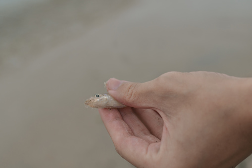 Upclose of an asian Chinese woman’s hand with a fishing bait