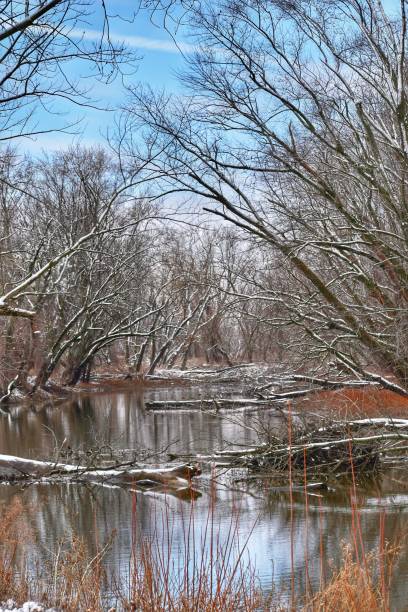 istock Mississippi River backwaters after the snow 1473615735