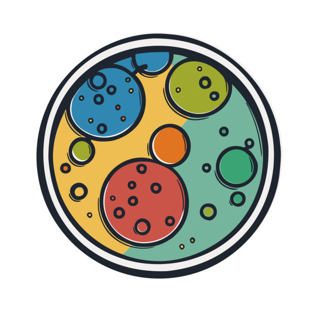 цветная чашка петри, вид сверху, плоская векторная иллюстрация - petri dish cell bacterium biology stock illustrations