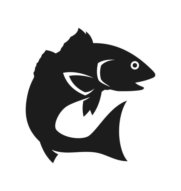 red drum, redfish, spottail bass - ausgeschnittene silhouette - black bass stock-grafiken, -clipart, -cartoons und -symbole