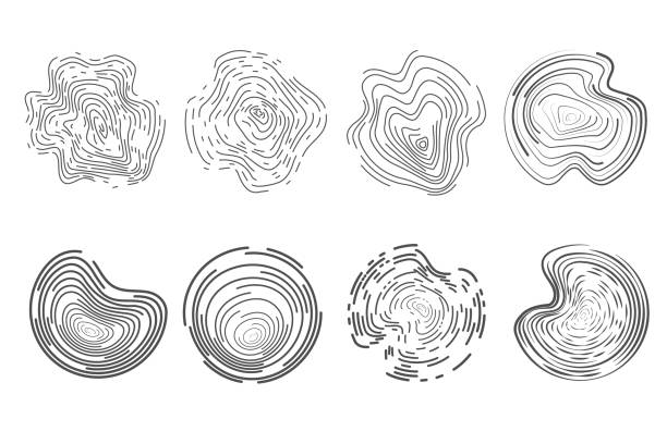 Tree Line Round 360+ Tree Rings Line Art Stock Photos, Pictures & Royalty-Free Images ...