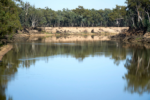 The calm flat waters on the Murray River at a section of the Southern 80, Moama New South Wales Australia