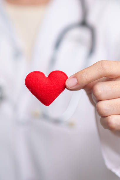 병원에서 빨간 하트 모양을 들고 있는 의사. 사랑, 기부자, 세계 심장의 날, 세계 보건의 날, csr 기부 및 보험 개념 - stethoscope human cardiovascular system pulse trace healthcare and medicine 뉴스 사진 이미지